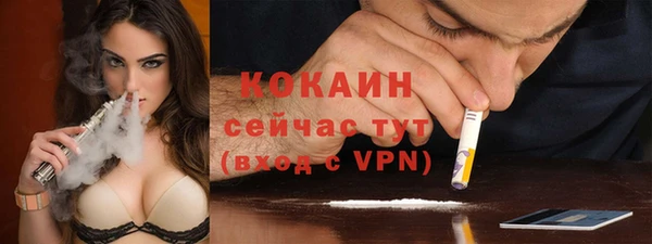 крисы Надым