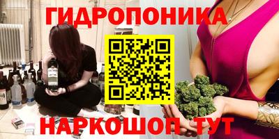 сатива Краснокаменск