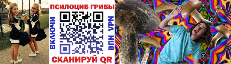 MEGA вход  Махачкала  Псилоцибиновые грибы мицелий 