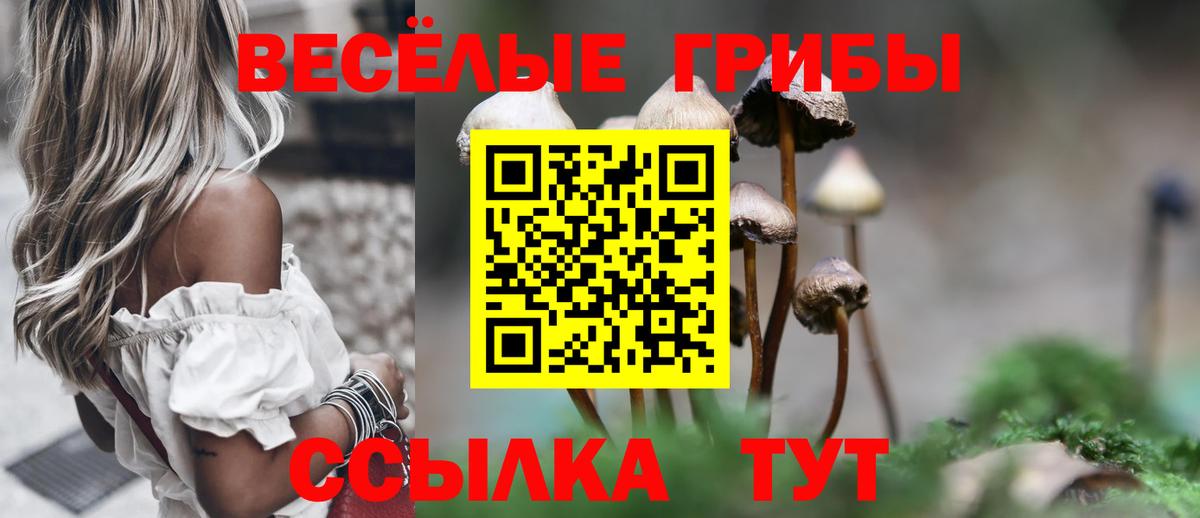 Галлюциногенные грибы Cubensis Махачкала