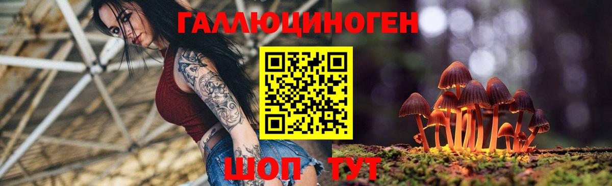Махачкала  Галлюциногенные грибы Psilocybine cubensis  Вход с VPN 